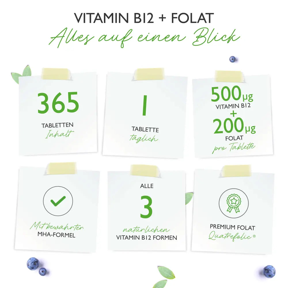 Vitamin B12 Triple Complex, 365 tabletter, Vit4ever Bedst før: 31.10.2025