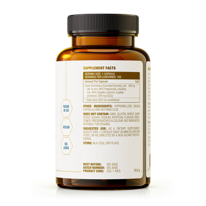 Super Green Tea Extract (Grøn te), 580 mg, 100 kapsler, MCS Formulas