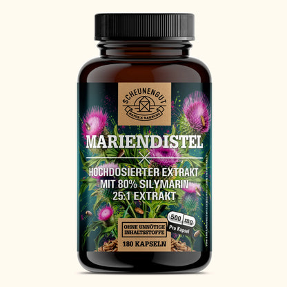 Marietidsel (mælketidsel)-ekstrakt i høj dosis 25:1, 500 mg (80% silymarin) , 180 kapsler, Scheunengut