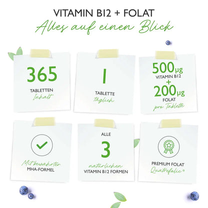 Vitamin B12 Triple Complex, 365 tabletter, Vit4ever Bedst før: 31.10.2025