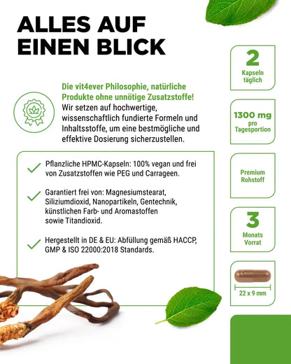 Cordyceps Intenso svampe-ekstrakt, 650 mg, 40% polysakkarider, 180 kapsler, Vit4ever